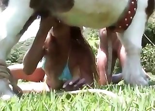 Amazing pony nicely sucked by horny zoofil