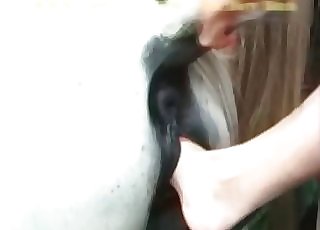 Fisting