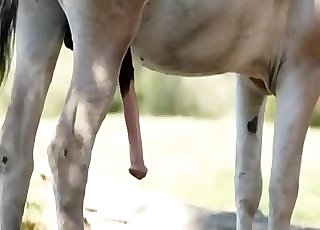 Massive